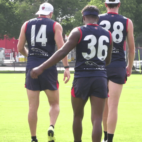 Mad Dammit GIF by Melbournefc