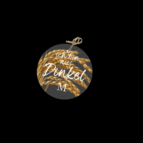 Backhaus Mildenberger GIF