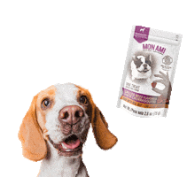 Mon Ami Mascotas Sticker