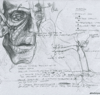 su-alexboya-rena-cKhpxM8iJ9aA0jxjRB