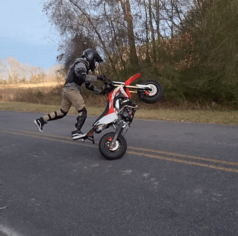 Stunt Wheelie GIF