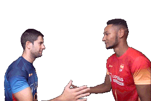 High Five Volleyball Sticker by RedLynxes