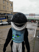 Happy Killer Whale GIF by Port of Seattle