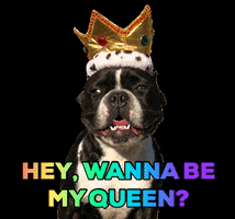 oscarfrenchienyc love queen romance king GIF
