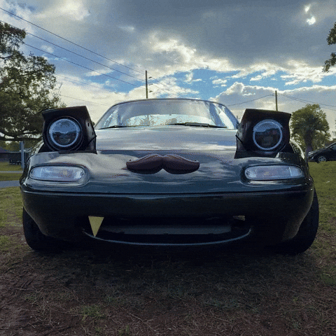 Mustache GIF