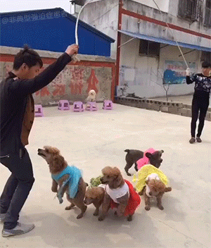 giphy.gif?cid=4d1e4f29fc286df89054973d40b889c220076876254bc305&rid=giphy.gif