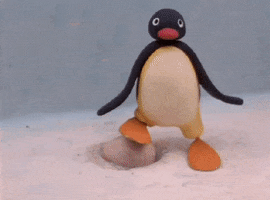 Pingu GIF