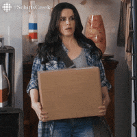 emily hampshire comedy GIF by CBC