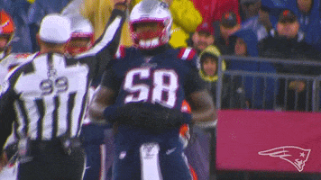 Hungry National Football League GIF by New England Patriots