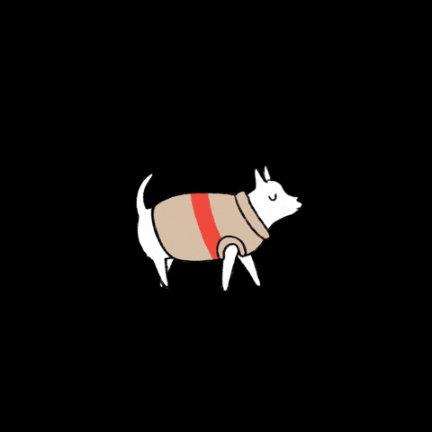 Dog GIF