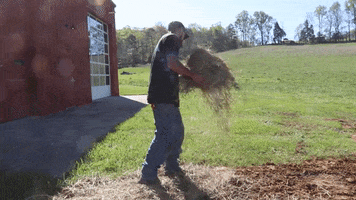 Spring Working GIF by JC Property Professionals