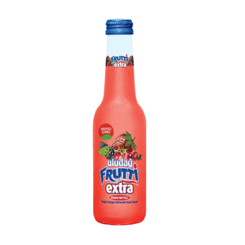 Uludağ Frutti Extrani Kat Sticker by uludag.frutti.extra