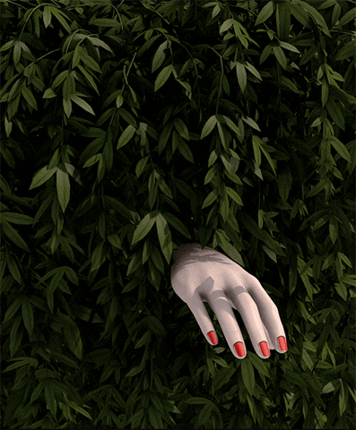 GIF by Sasha Katz