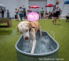 Fetch Social GIF