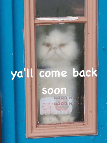 Yall Come Back Soon GIF