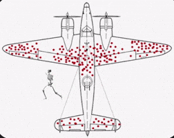Plane Airplane GIF