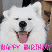 Happy Early Birthday Gifs Get The Best Gif On Giphy