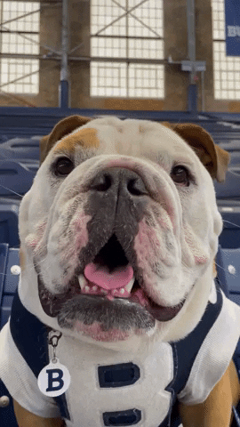 Happy Butler Bulldogs GIF by Butler University
