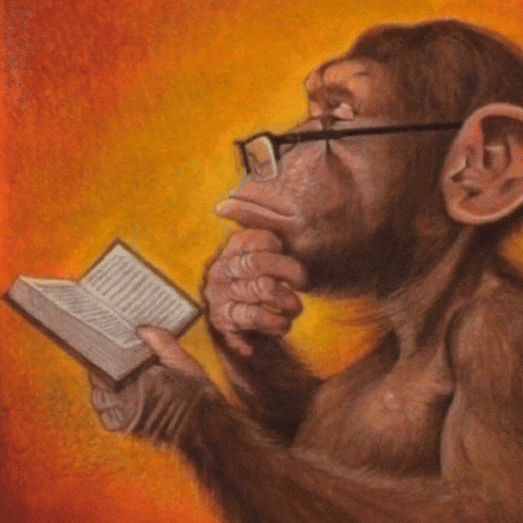 Monkey Deep Thought GIF