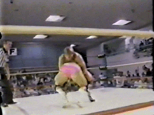 Wrestling GIF