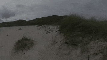 Beach Sand GIF by Oceana