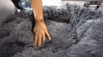 Calmingpetbed GIF