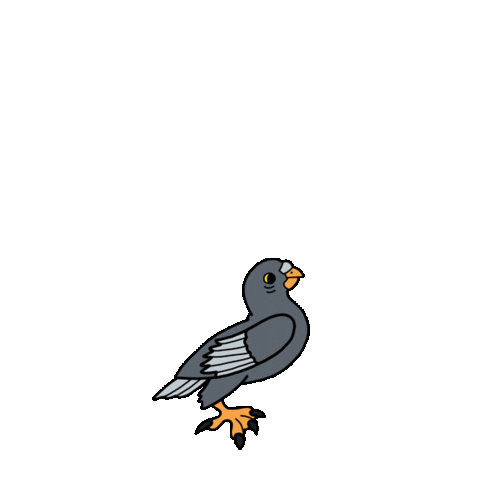 Skateboarding Pigeon Sticker by Skateboard School Amsterdam