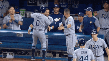 hugs GIF by MLB