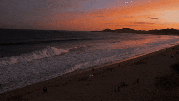 ZachBrandon beach vibes ocean la GIF