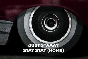 Stay Home GIF