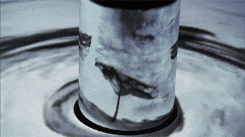 what will come contemporary art GIF by Art21