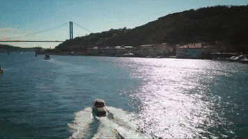 Delikanlı GIF by Show TV