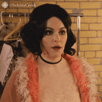 confused emily hampshire GIF by CBC