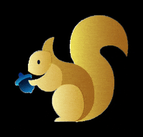 Trento Film Festival GIF