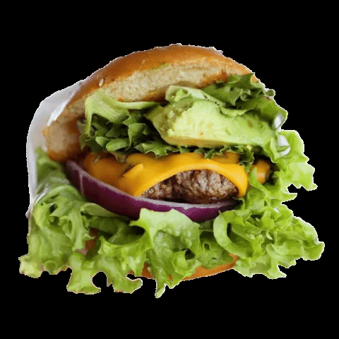 burganic_mx burger organic avocado cheeseburger GIF
