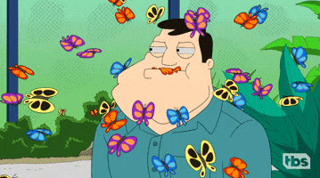 Tbs Network Butterflies GIF by American Dad