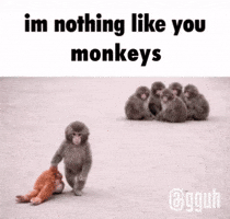 Monkey Punch GIF