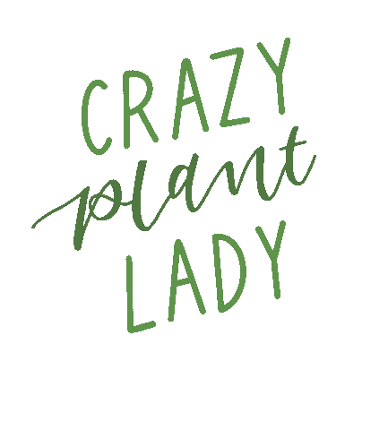 Flowers Plant Sticker