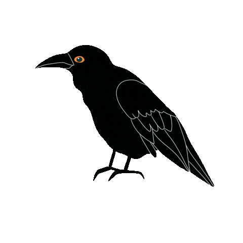 Halloween Raven Sticker by celenink