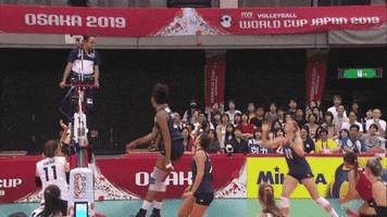 Usa Smile GIF by Volleyball World