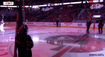 Ottawa Senators Sport GIF by NHL