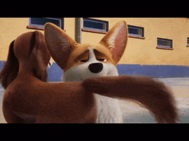 Animated GIF
