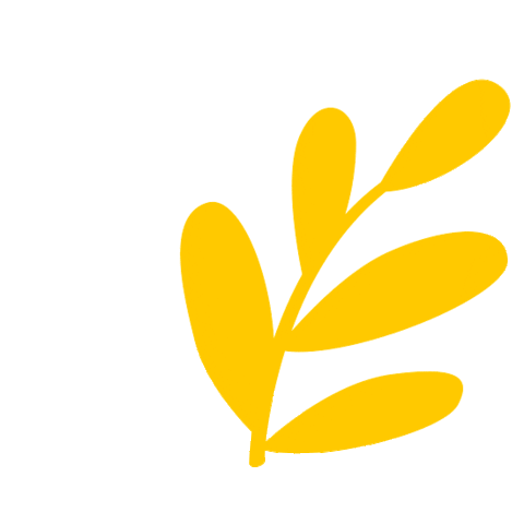 Design Sticker