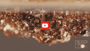 GIF by KQEDScience