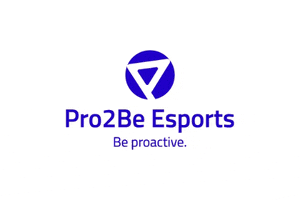 GIF by Pro2Be Esports