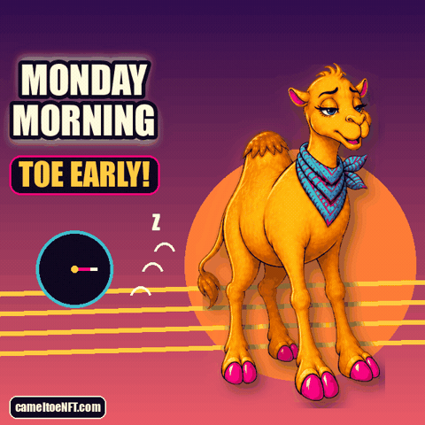 Monday Morning GIF by CamelToe