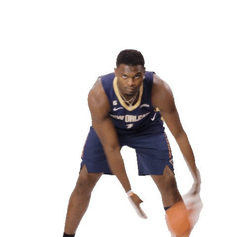 New Orleans Pelicans Basketball Sticker by Gatorade