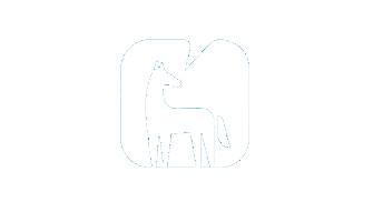 Happy Horse Sticker by Animalytics