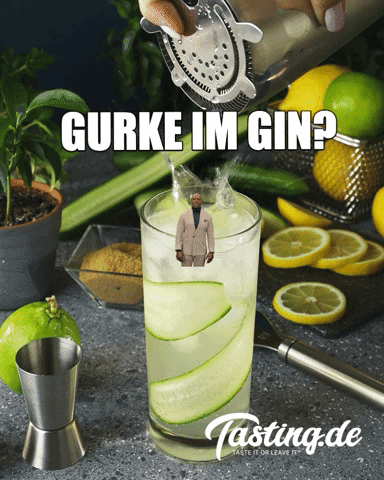 tastingde gin cucumber gin tonic gin and tonic GIF
