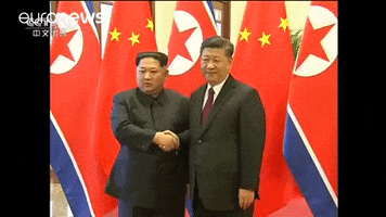 kim jong-un handshake GIF by euronews